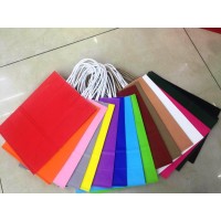Plain colors Twisted handles paper bags